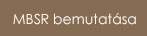 MBSR bemutatsa